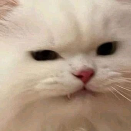 เอ็นดูความเขี้ยวโผล่มากเลย ดุล้าย ฮึ่มม 5555555