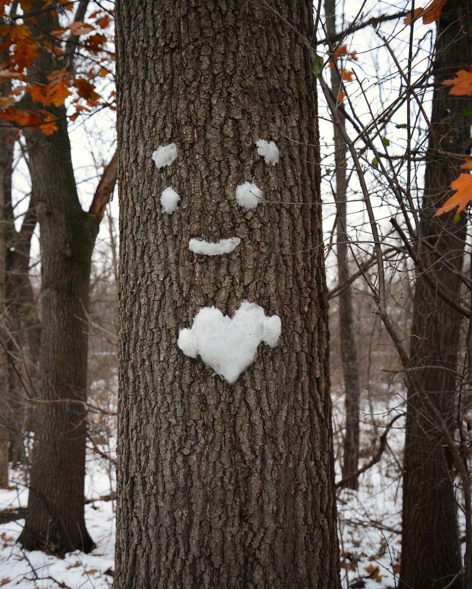 DHS_FineArts's tweet photo. After exploring the work of Andy Goldsworthy, Digital Photography Students made some of their own Environmental Installations! These are fun! #art #artteacher #environmentalinstallation #photography #digitalphotography https://t.co/NuscRfysgv