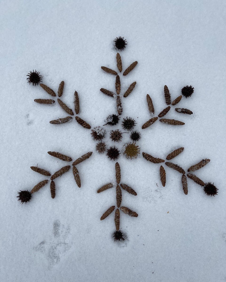 DHS_FineArts's tweet photo. After exploring the work of Andy Goldsworthy, Digital Photography Students made some of their own Environmental Installations! These are fun! #art #artteacher #environmentalinstallation #photography #digitalphotography https://t.co/NuscRfysgv