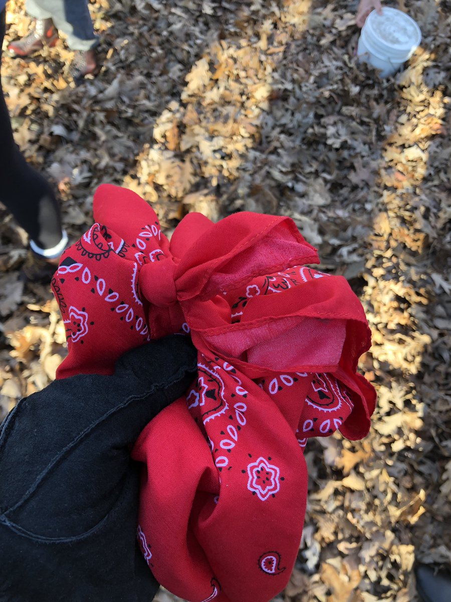 CoreySobell's tweet photo. We were blindfolded in the woods. Despite the horror movie circumstances, it was a lot of fun #cor4240 #natureawareness https://t.co/WUFMfhUbJE