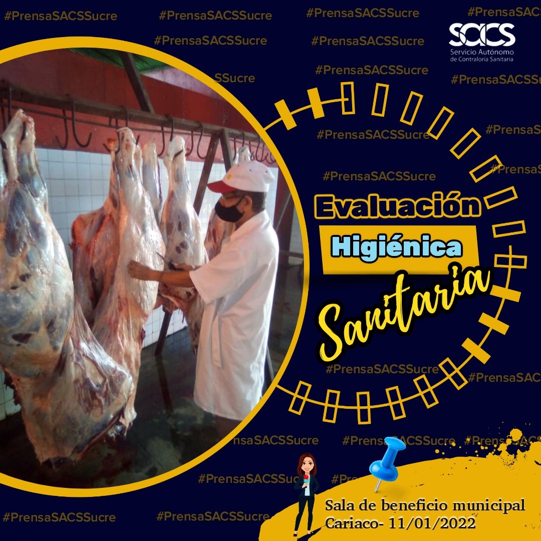 Gestión|| En pro de garantizar la inocuidad alimentaria, el equipo del municipio Ribero efectuó evaluación higiénica sanitaria ante-Mortem y post-Mortem, a bovinos, en sala de beneficio de Cariaco. #11Enero #UnidadLuchaYBatalla #PrensaSACSSucre