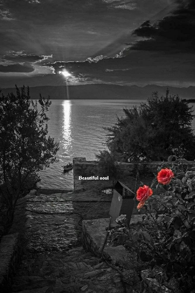 ✨🌑
Queridos Amigos, tened
Muy  Buenas Noches💫
Que descanséis !!
✨🌹🌹💫