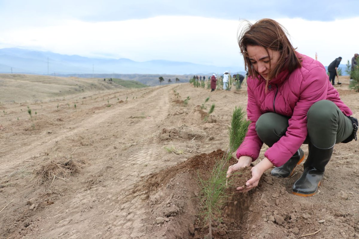 AybanizIsm's tweet photo. You donations and partnerships make it happen!
Planted my first tree in #Zangelan within the #reforestration campaign.
For 30 years of illegal occupation more than 260k ha of forest cover& wildlive was damaged.
Join @QDFAzerbaijan reforestration projects in #liberatedlands https://t.co/Q0LTVGGf9Y