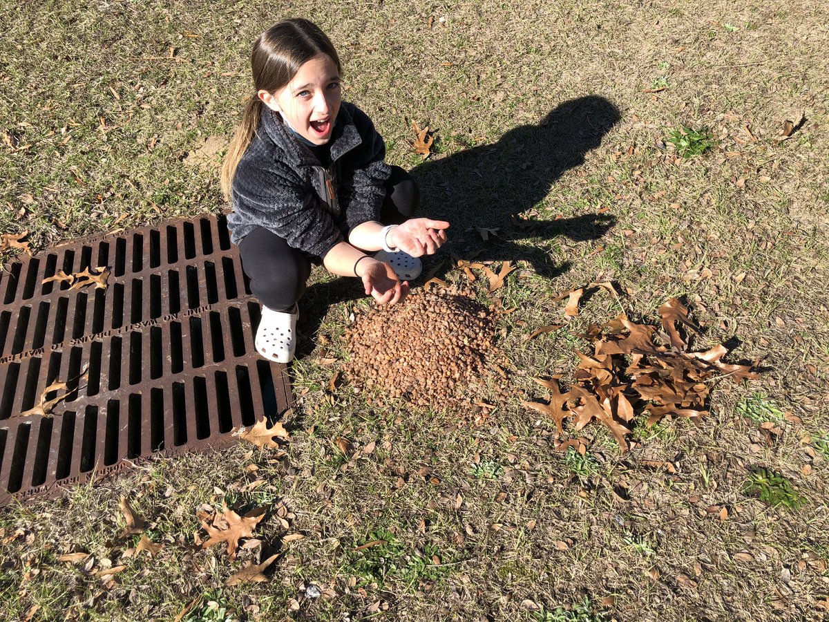 Ed Emmer tweet media