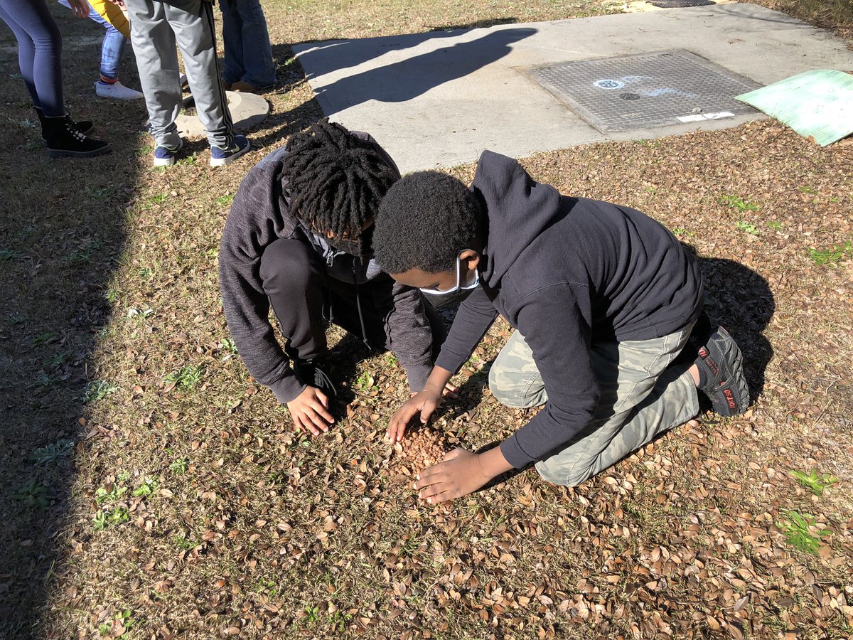 Ed Emmer tweet media