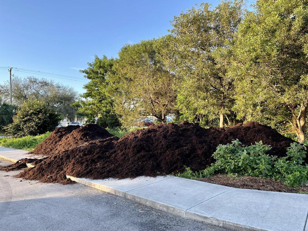 andrewkearns64's tweet photo. Thank you βvery mulchβ to @FloridaWood for the delivery of mulch today for our @josemartimast #nativearboretum! ππΏ #partnership #teamwork #mast2122
@MDCPSCommunity @STEAMDesignated @MDCPS_HCMChief @MDCPSNorth https://t.co/loPbShqefD