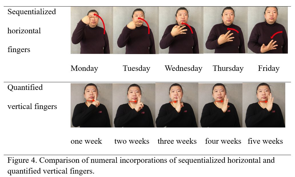 Paper w <a href="/Haolin_Boston/">Lin Hao</a> on finger configurations for time expressions from 63 CSL signers (digital; numeral incorporation; points-to-fingers) is out in L&amp;C. There are interconnections between finger representations, numbers, ordering, and time in CSL  cup.org/31OnIJD