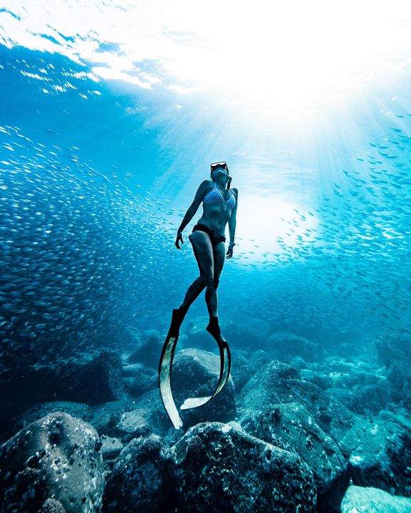 Have you ever yearned to explore the underwater world? Join champion freediver, spearfisher and <a href="/OluKai/">OluKai</a> ambassador <a href="/kimiwerner/">Kimi Werner</a> as she explores the depths of the Hawaii Island waters in a two-day freediving experience. press.fourseasons.com/hualalai/hotel…

📷 Perrin James