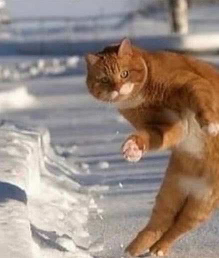 ODDSbible tweet media