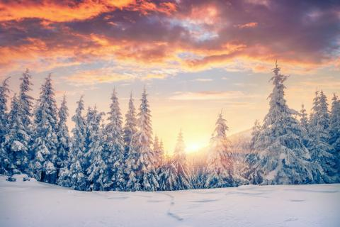SE_MOSCA's tweet photo. SEMOSCA!! Check your emails and RSVP, ASAP, for the winter meeting. It will be held at TRC, Friday, January 21, 2022. If you know of a new counselor who is not a part of SEMOSCA, encourage them to join! https://t.co/UnHKwgmzAm