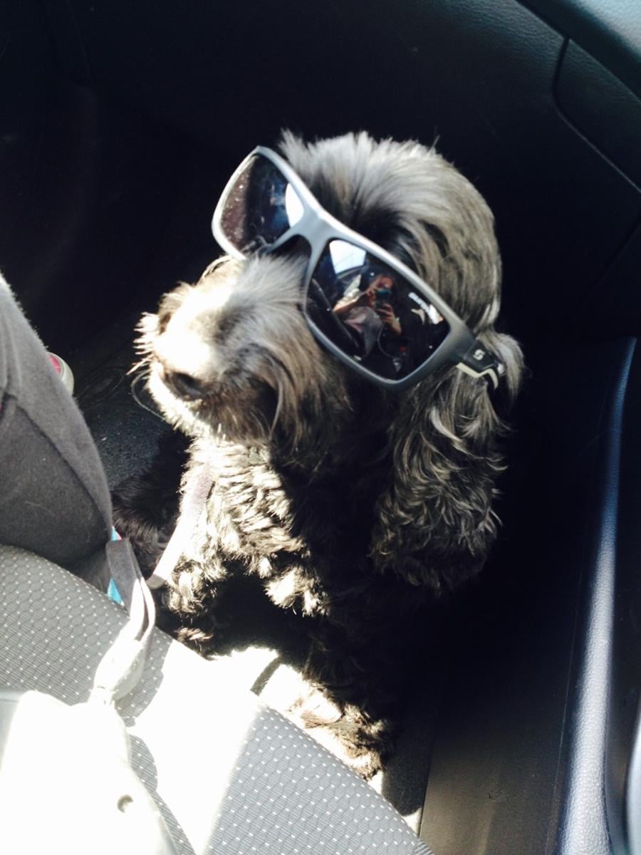 Siobhán Cronin🇺🇦 tweet media