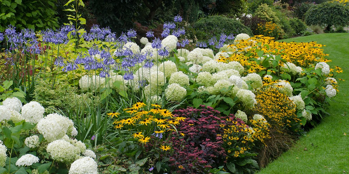 TownofWhitby's tweet photo. Joining an Advisory Committee is a great way to make a difference in your community! The #WhitbyInBloom Committee is looking for new members. Find out more here: https://t.co/LFRPnV2uNS https://t.co/B9h4K9X9Q8
