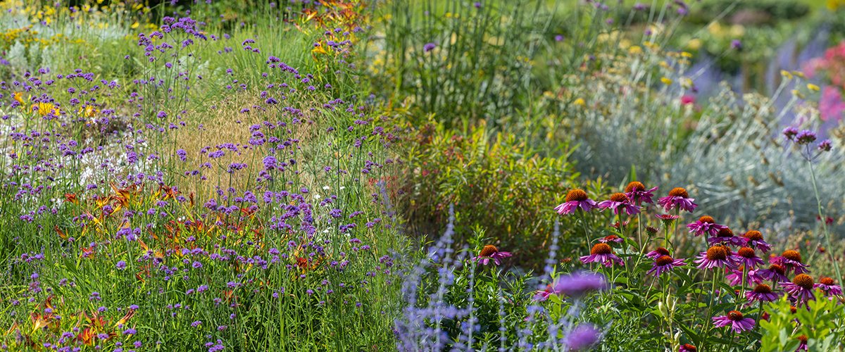 TownofWhitby's tweet photo. Joining an Advisory Committee is a great way to make a difference in your community! The #WhitbyInBloom Committee is looking for new members. Find out more here: https://t.co/LFRPnV2uNS https://t.co/B9h4K9X9Q8