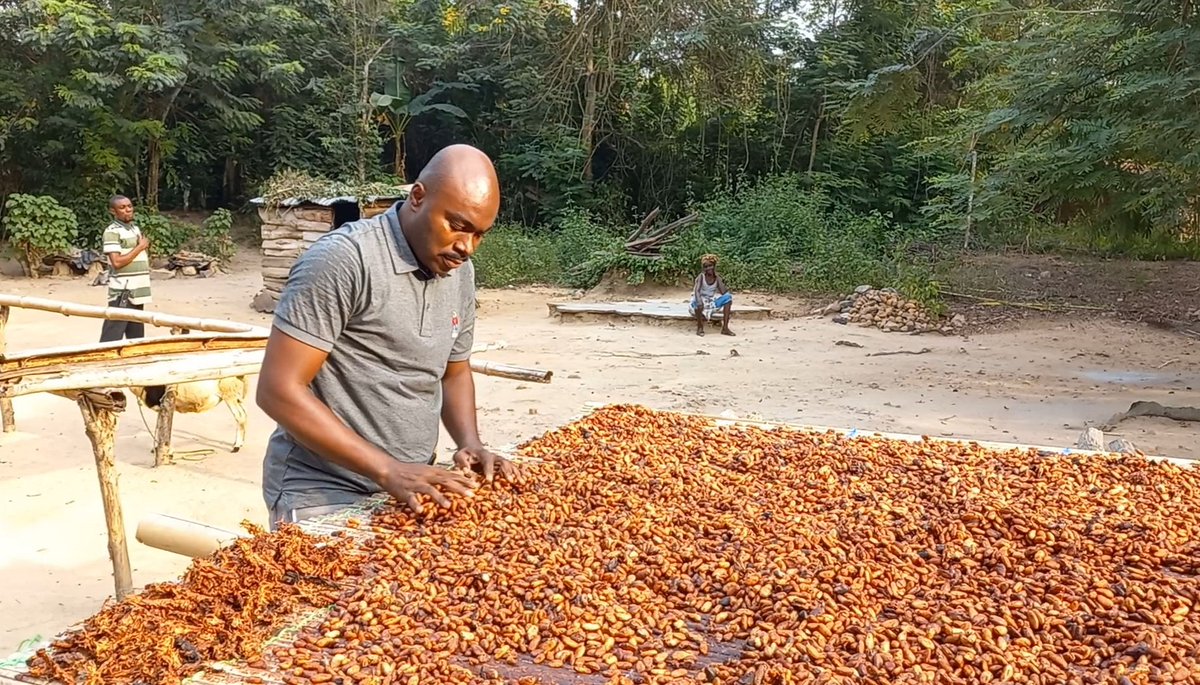 KojoHayford's tweet image. Baptism at last. Respect to our hardworking cocoa farmers. #CocoaPost