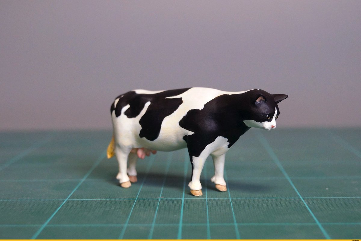 корова и кошка. лоуэлл эрреро - коровы. коте корова. кот и корова. красивый теленок.