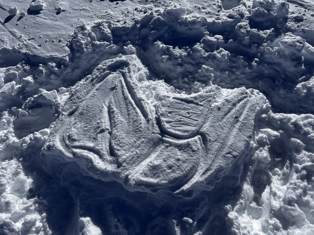 SNOWBAT ON THE LOOSE!!! Had some fun today wile skiing, hope you guys like it, and love the discord community ! (did my best hands were freezing lol) 👨‍🎨 <a href="/CryptoBatzNFT/">CryptoBatz</a> <a href="/SutterSystems/">Sutter Systems</a> <a href="/OzzyOsbourne/">Ozzy Osbourne</a>