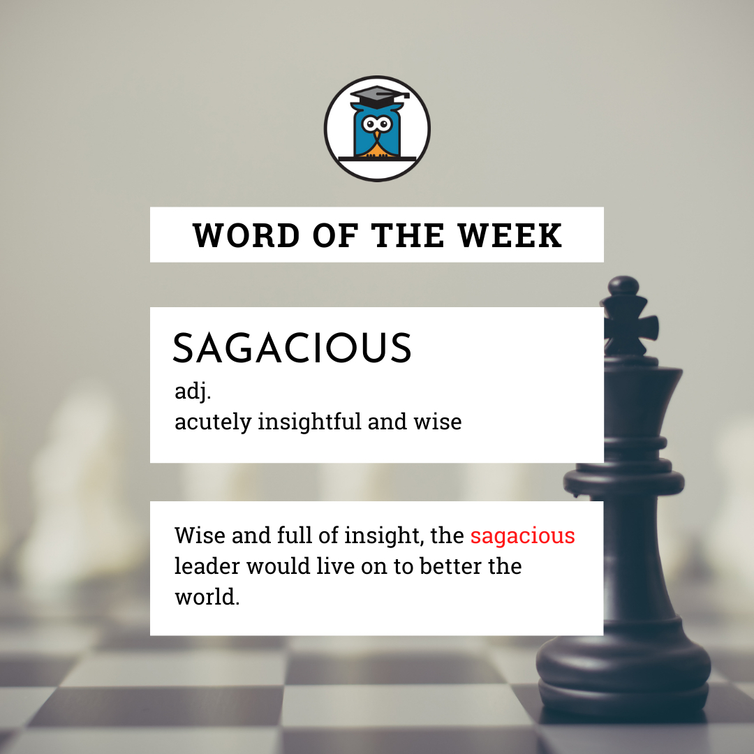 MyPrivateProf's tweet photo. Word of the Week: Sagacious
(adj.) acutely insightful and wise

Wise and full of insight, the sagacious leader would live on to better the world.

#Tutoring#Remote#MyPrivateProfessor https://t.co/7kIT4rPoXd