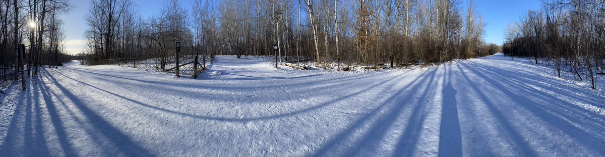 johnstonrick's tweet photo. Taken at 2:49 pm at an immensely popular dog run park in Ottawa. But when the mercury falls, you have the #ConroyPit pretty much all to yourself. #silverlining https://t.co/3Kd28eLHhT