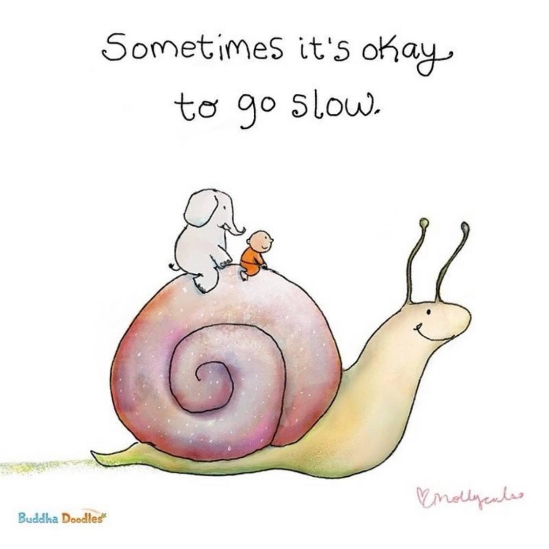 AislingReighCPC's tweet photo. Feeling this is essential at the moment #January #GettingOverCovid #Hibernation #FindingJoyInTheLittleThings #EnjoyingLifeInTheSlowLane ππ https://t.co/ELQEPaObzf