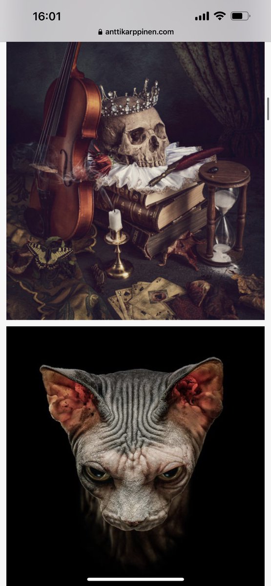 <a href="/cerenetwork/">Cere Network</a> <a href="/0xkenzi/">Kenzi Wang</a> <a href="/MartijnBroersma/">Martijn Broersma</a> <a href="/BinanceLabs/">Yzi Labs</a> Here is some work from <a href="/antti_karppinen/">Antti Karppinen 🎨</a> who is an award winner photographer and will be working with $CERE team on NFTs. #DaVinci 🤝#CERENetwork will be huge.