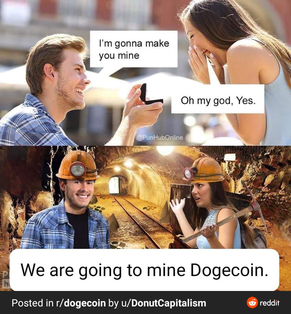 Goldiewhoopbur1's tweet photo. Still one of my favorites 🤣🤣❤
 #DogecoinToTheMoon https://t.co/zkXRNDA6WV