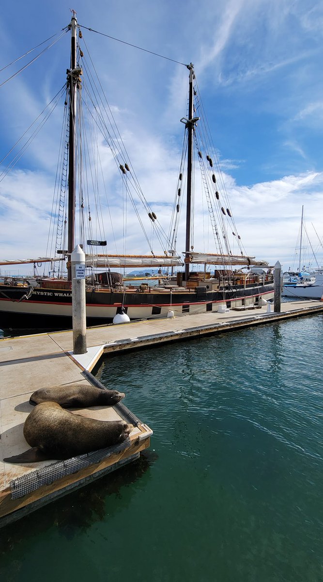 Channel Islands Maritime Museum tweet media