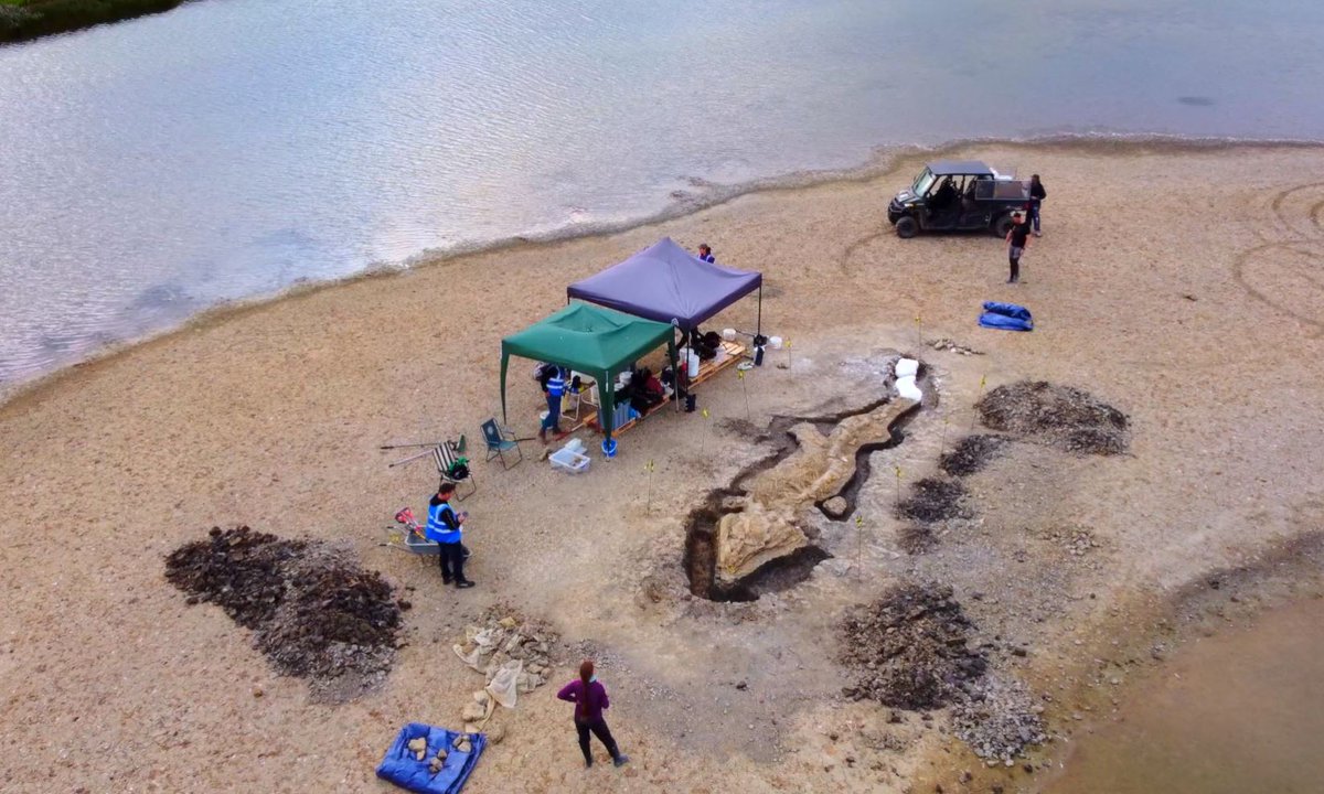 Dean_R_Lomax's tweet photo. Nice to have the #RutlandSeaDragon feature on #DiggingForBritain, but there is SOOOOOO much more footage available with chat from the entire team. 100% needs its own documentary!

Surely, the most COMPLETE skeleton of any large prehistoric reptile in Britain deserves its own doc? https://t.co/WqHACjUmYh