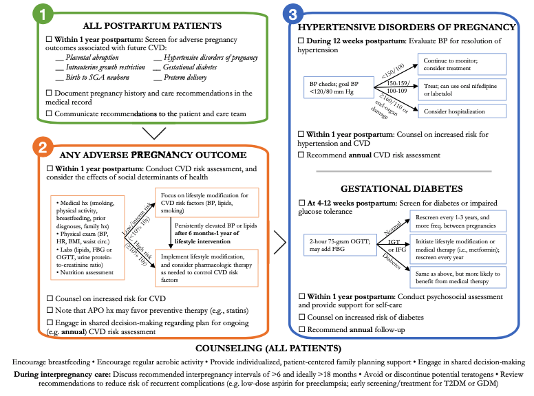 marahorwitz's tweet photo. Anyone with a pregnancy complication associated with future CVD (Box 1 below) should be identified and screened for CVD risk factors within the 1st postpartum year (Box 2). Hypertensive disorders of pregnancy and gestational diabetes require additional follow-up (Box 3). https://t.co/OXqJVJ5w94