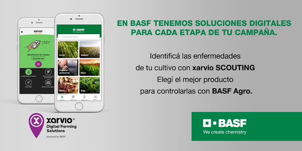 ¡Descargá nuestras aplicaciones móviles y digitalizá tu campo!
BASF Agro ➡️ onelink.to/8yek5y xarvio ➡️ onelink.to/dq4uta