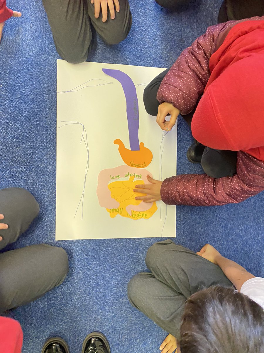 Year 4 have been learning about the digestive system. Do you know the journey our food takes each time we eat? <a href="/CliftonPrim/">CliftonPrimary</a>
