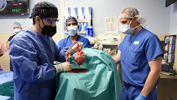 With First-in-Human Porcine Heart Transplant, a New Chapter Begins dlvr.it/SGxnyF