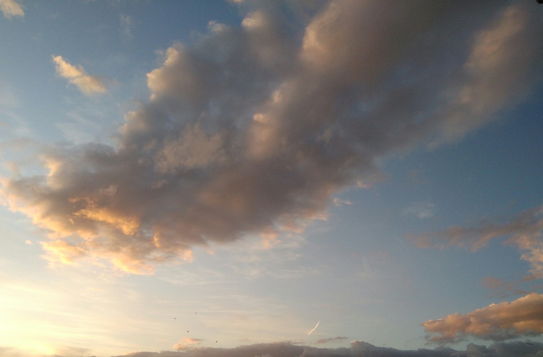 ClouDshapedFunK's tweet photo. I brought lovely clouds for you! go and check them! 

https://t.co/zJ3A4c6LTf

(14/14) 0.05 ETH each (polygon)
#NFT #NFTCommunity #naturelove  #NatureBeauty #NFTCollection #nftart #opensea #nftphotos https://t.co/gR9xBR7gSO