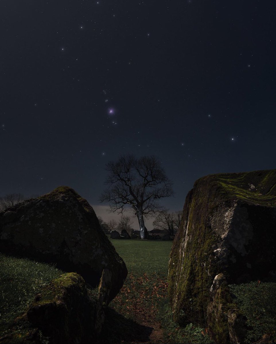 Stephen Phelan Photography tweet media