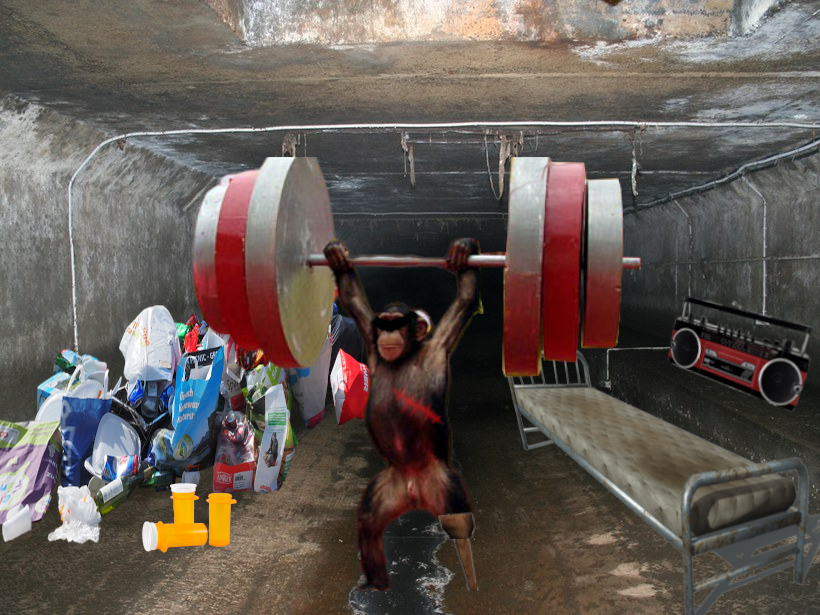 buffmonkeyswole's tweet photo. ... https://t.co/Gg1t6Mk9nB