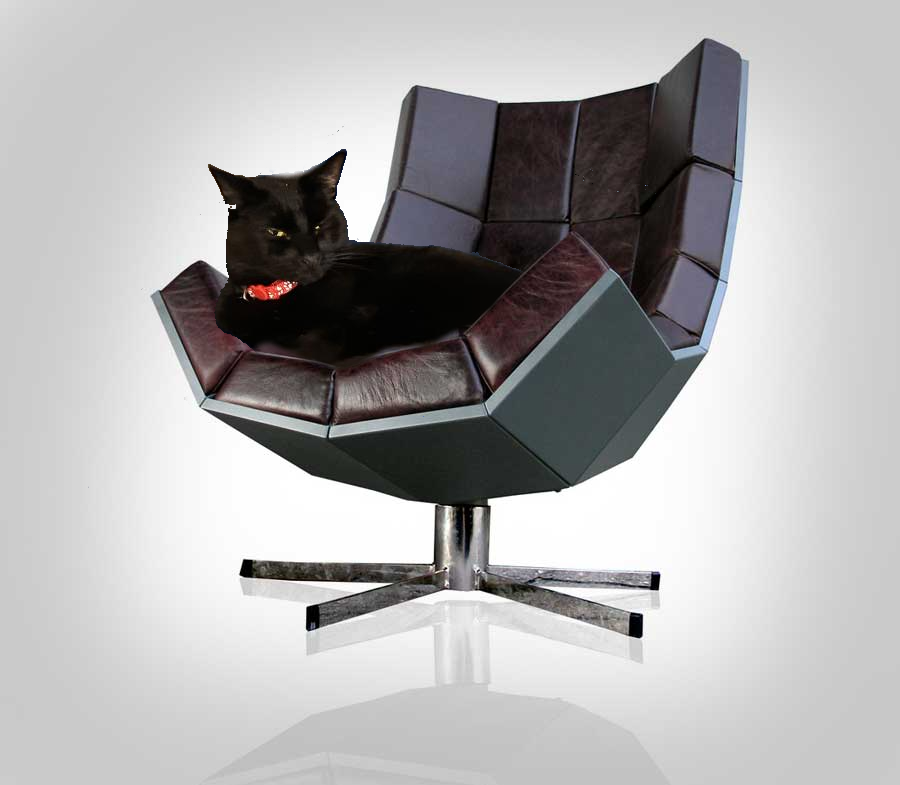 Future Vice President Frito planning new foreign policy ideas.