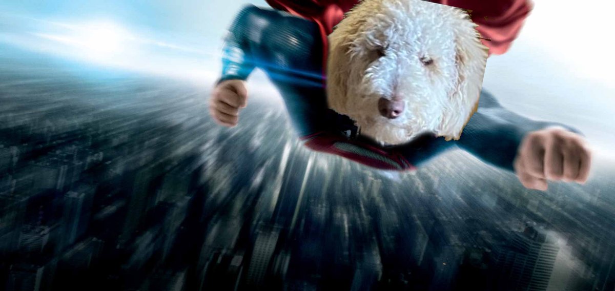 Me on my way to implement equal rights: