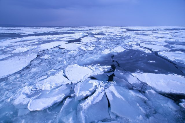 オホーツク海の素晴らしい流氷🧊☃️