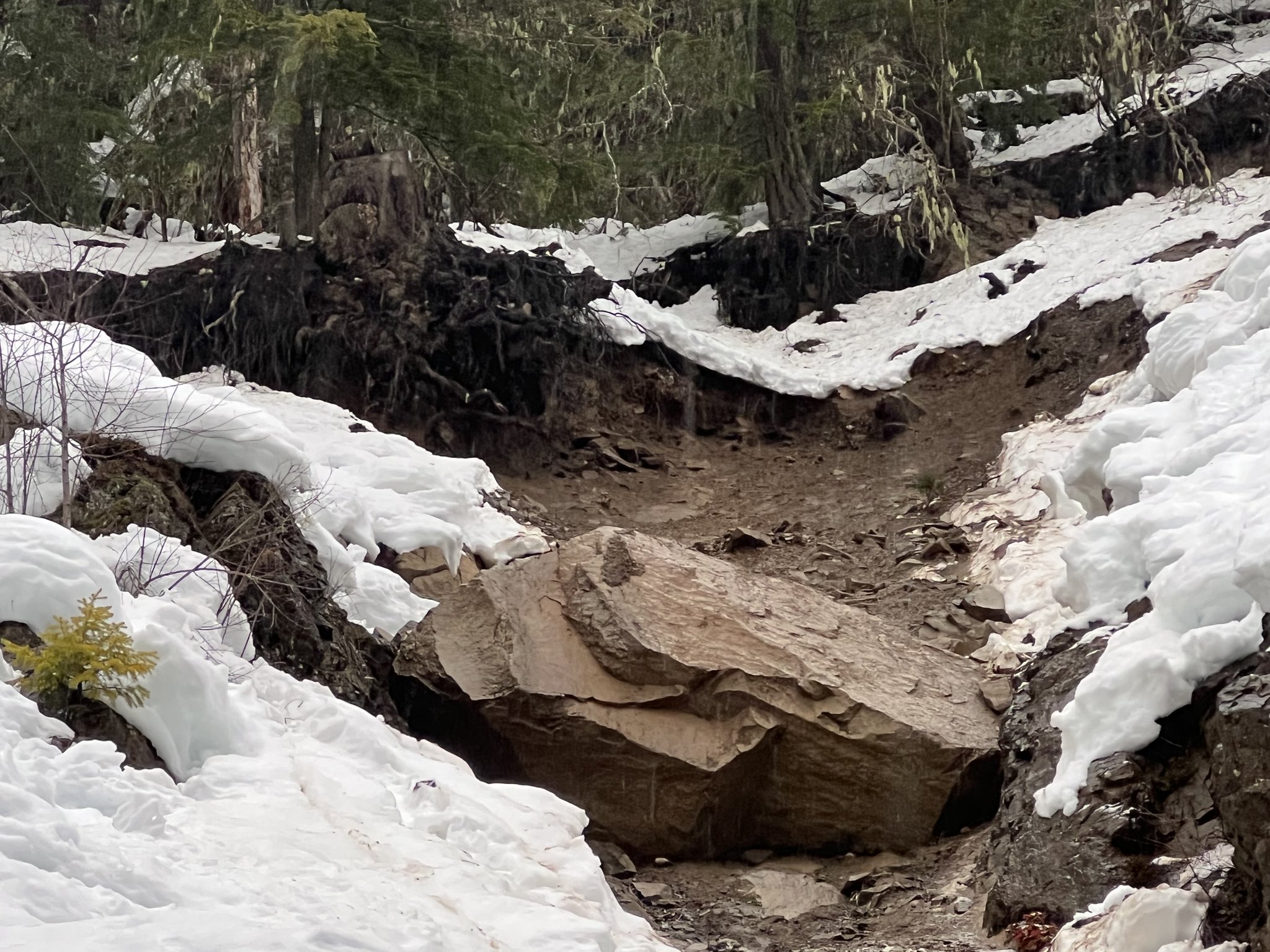Washington State DOT on Twitter "White Pass reclosed Monday evening