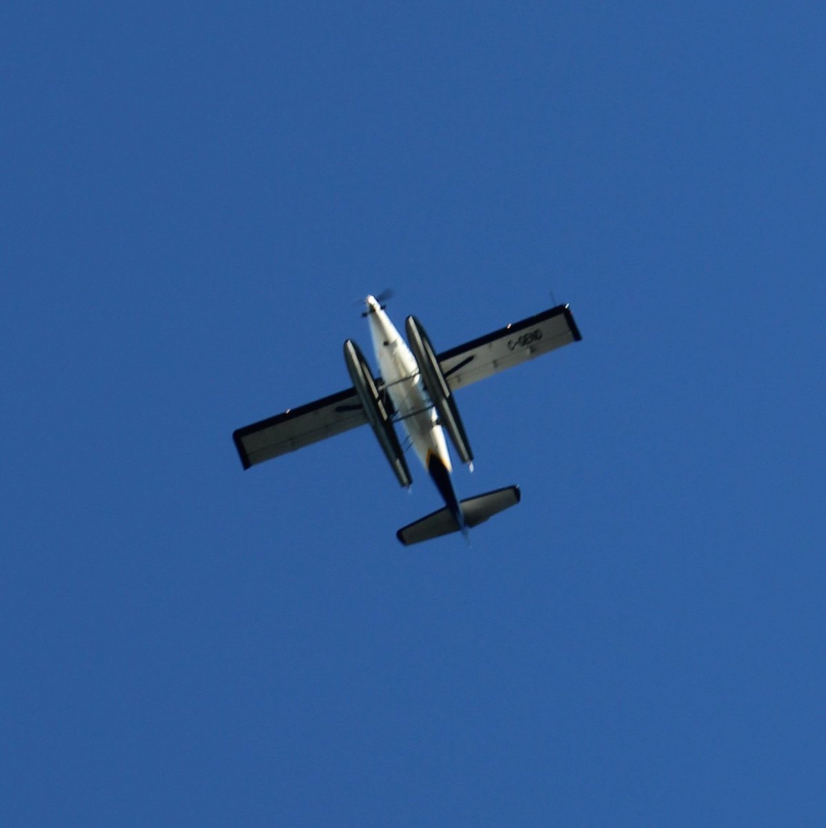 Member Monday - Today's Featured Member is Salt Spring Air, a seaplane transportation company. Explore the beauty of British Columbia from the air with direct flights, tours, and more!

<a href="/sgitps/">Southern Gulf Islands Tourism Partnership Society</a> @saltspringair <a href="/HarbourAirLtd/">Harbour Air</a> #travel #membermonday #saltspring #seaplane