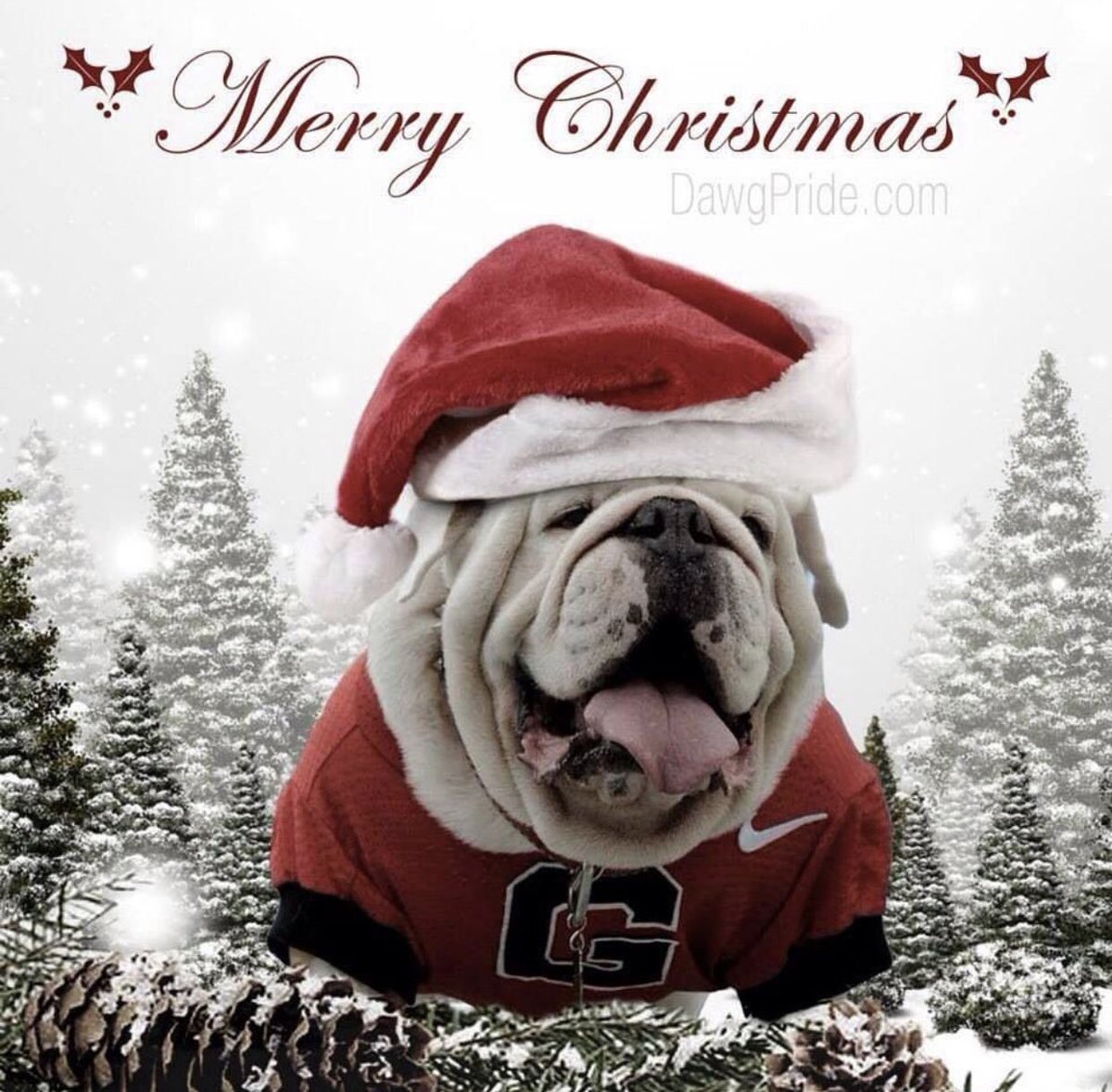 Thomson Football tweet media