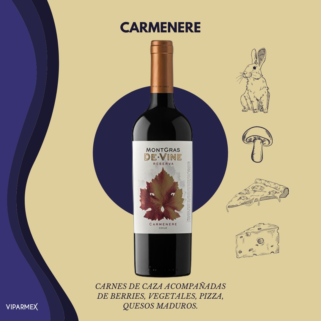 Vinos Para México tweet media