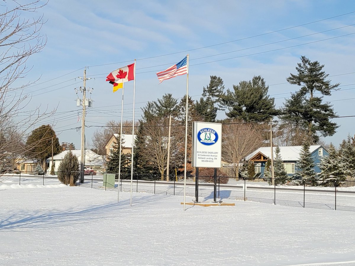 Schleese Saddlery on a sunny winter day #HollandLanding
