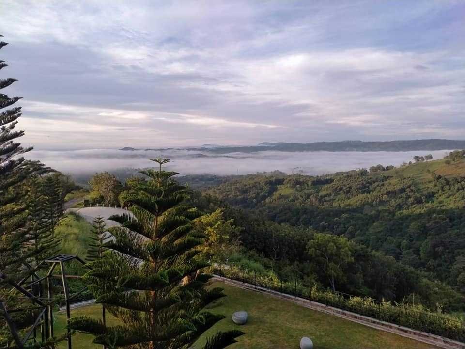 ND11xxx's tweet photo. 🗻คาเฟ่เก๋ๆ นั่งดูทะเลหมอก เขาค้อ 🗻
Le Bonheur khaokho (เลอ บอนเนอร์ เขาค้อ) 
🌾คาเฟ่ใกล้ชิดขุนเขา นั่งจิบกาแฟ ดูทะเลหมอก ฟินสุดๆ
📸บรรยากาศดีมาก สูดอากาศบริสุทธิ์ยามเช้าพร้อมกับรับประทานอาหารอร่อยๆ หรือถ้ามาช่วงเย็นได้ดูวิวพระอาทิตย์ตก ก็สวยไปอีกแบบ #อร่อยไปแดก #อร่อยบอกต่อ https://t.co/PfsnCQT6qN