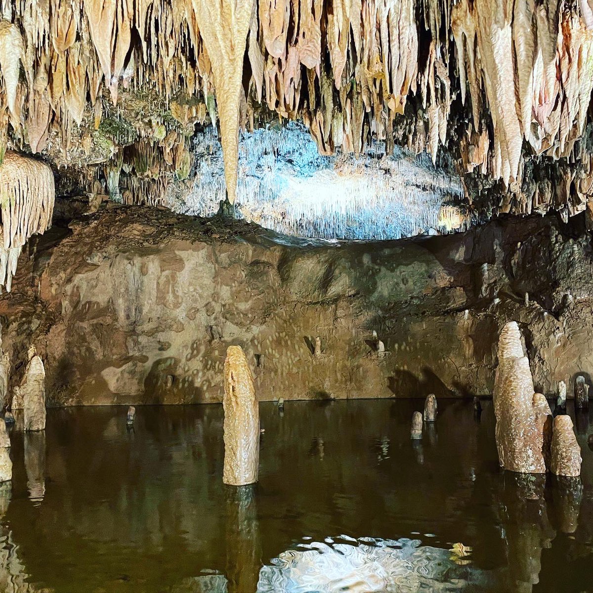 thorschwindt's tweet photo. #MeramecCaverns are definitely worth a visit: largest cave system in Missouri, along the #Route66. https://t.co/8GPoADJahv