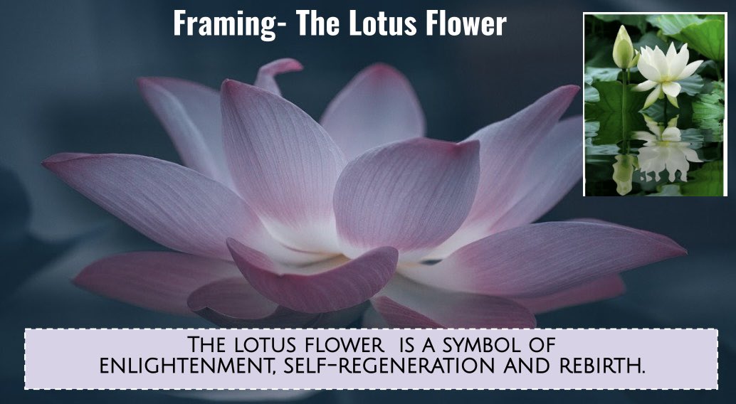 Teacher Leadership NYC Public Schools tweet media