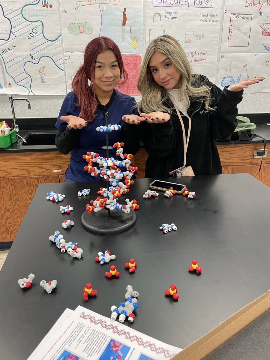 aluna0707's tweet photo. So 2 years later and this time the clock got the best of us…they couldn’t finish the 3D DNA 🧬 puzzle 😞 #drlunasclass #notafail #maybenextyear 😳 #sehsthebest #pltwclassroom #myfav @torribabbesz https://t.co/jX8o7Vpv1p