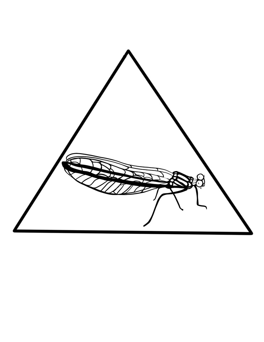 Hope I’m not too late to the #PortfolioDay party. I’m a sci-artist based in #HamONT. My New Years’ suggestolution is to make more time for more art 🤞🏼 Let’s work together!