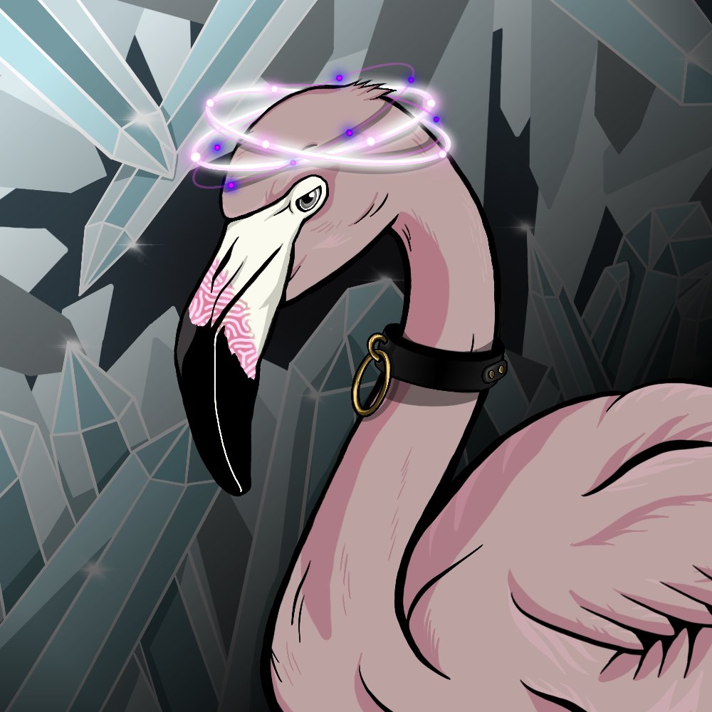 Solmingo of the day 🦩#NFT 

Rarity 💎
Background: Ultra-rare
Skin: Common
Beak: Uncommon
Eyes: Common
Body: Uncommon
Head: Ultra-rare

Fun fact 🔥
Currently residing in Supermans fortress of solitude, don't tell him 
#NFTs #NFTCommunity