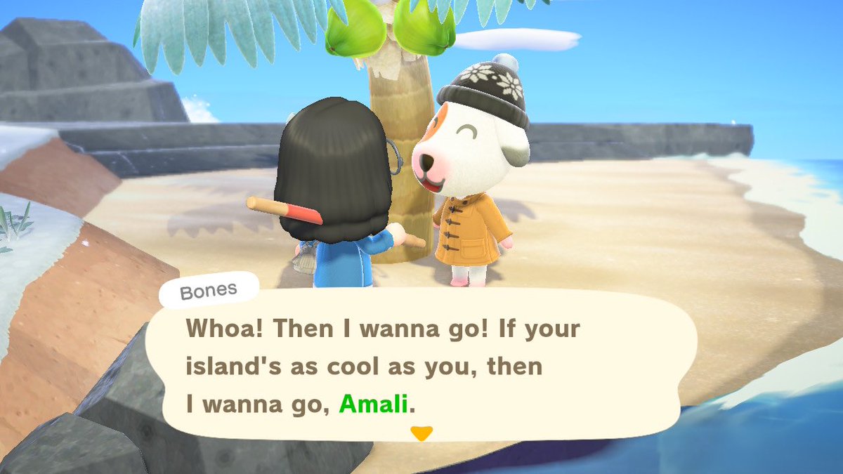 AmaliCrossing 🌻 tweet media