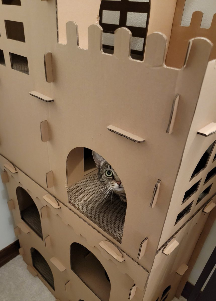 Chelsea Rebecca 💀🥩 tweet media